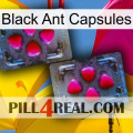 Black Ant Capsules 15